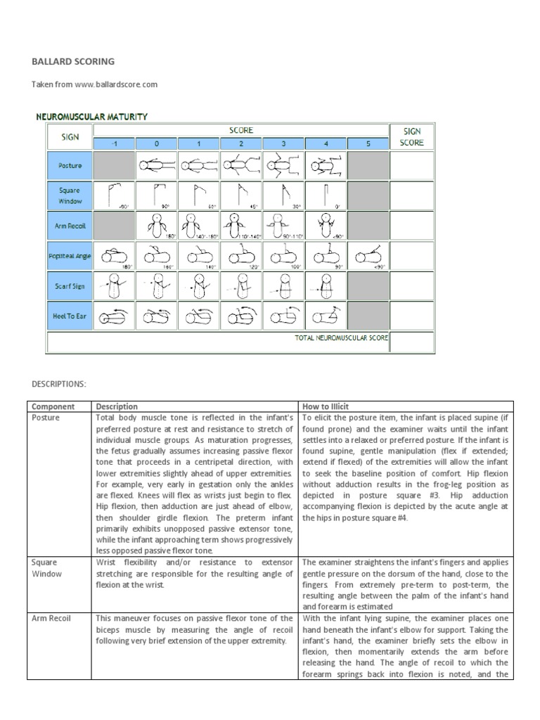 Ballard Scoring Component Description How To Illicit PDF