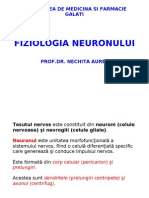 Fiziologie - Neuronul