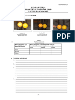 Modul 8