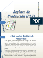 Registro de Producción (PLT)