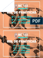 ROL DE PRACTICAS MC 102 D Y E.pdf