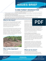 Deforestation-Forest Degradation Issues Brief Final