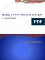Trabajo 2 Dermatitis