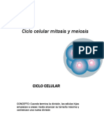 Ciclo celular mitosis y meiosis.pdf