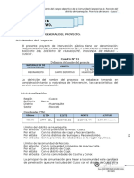 Resumen-Ejecutivo