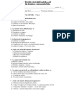 Prueba Ciencias Naturales PDF