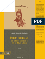 Indios Brasil v.1