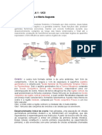 1 Resumo Histologia Uc3-1