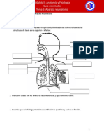 Guia Anatomia 5 PDF
