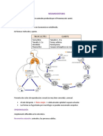 Neumocistosis