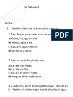 Prueba de Ciencias Naturales 3° Las Plantas