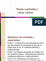 RAIZ PDF.pdf