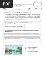 Prueba de Ciencias Naturales Ecosistema
