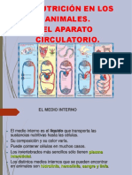 circulatorio.ppt