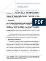 Resumen Ejecutivo PDF