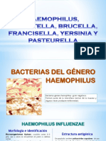 Haemophilus y Otros