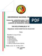 Informe