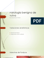 Patologia Benigna de Vulva