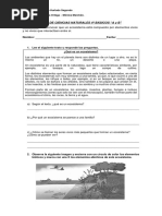 Ciencias - 4° Básico - Factores Bióticos y Abióticos