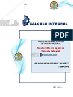 Calculo Integral