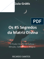 Guia Os 5 Segredos Da Matriz Divina