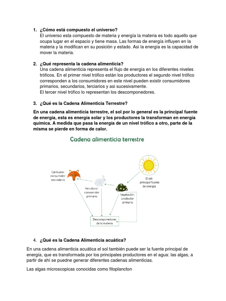 Guia De Ecologia Semana 6 2 Red Alimentaria Entorno Natural
