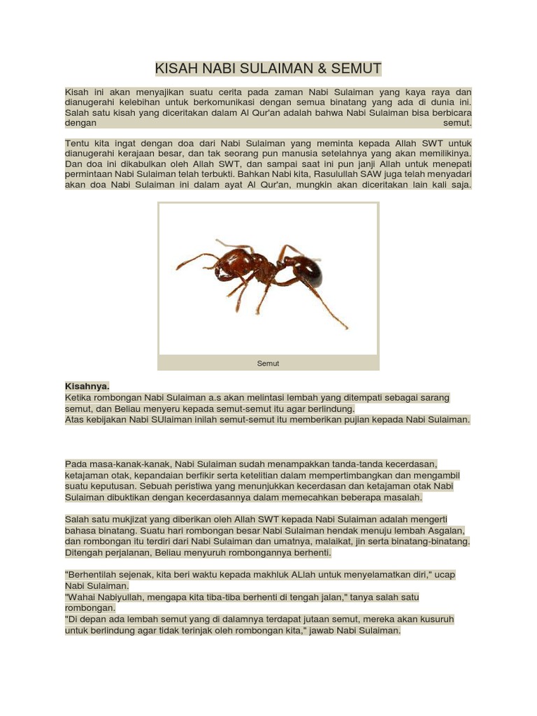 Kisah Nabi Sulaiman Dan Semut Pdf