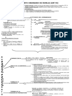 251981833-Esquema-Procedimiento-Familia.pdf