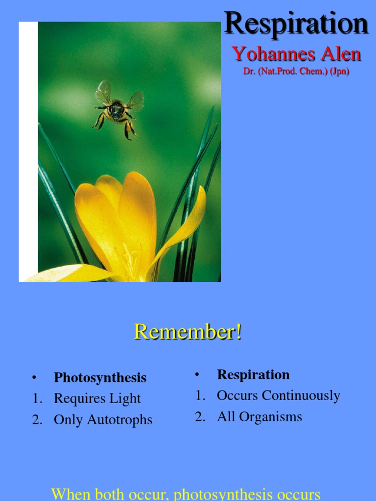 Respiration Biology | PDF | Cellular Respiration | Adenosine Triphosphate