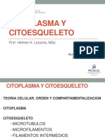 BCM 17 Li 03 Citoesqueleto Heli