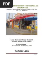 335287809-PLAN-DE-SEGURIDAD-DE-DEFENSA-TIENDA-ELIZABETH-docx.docx