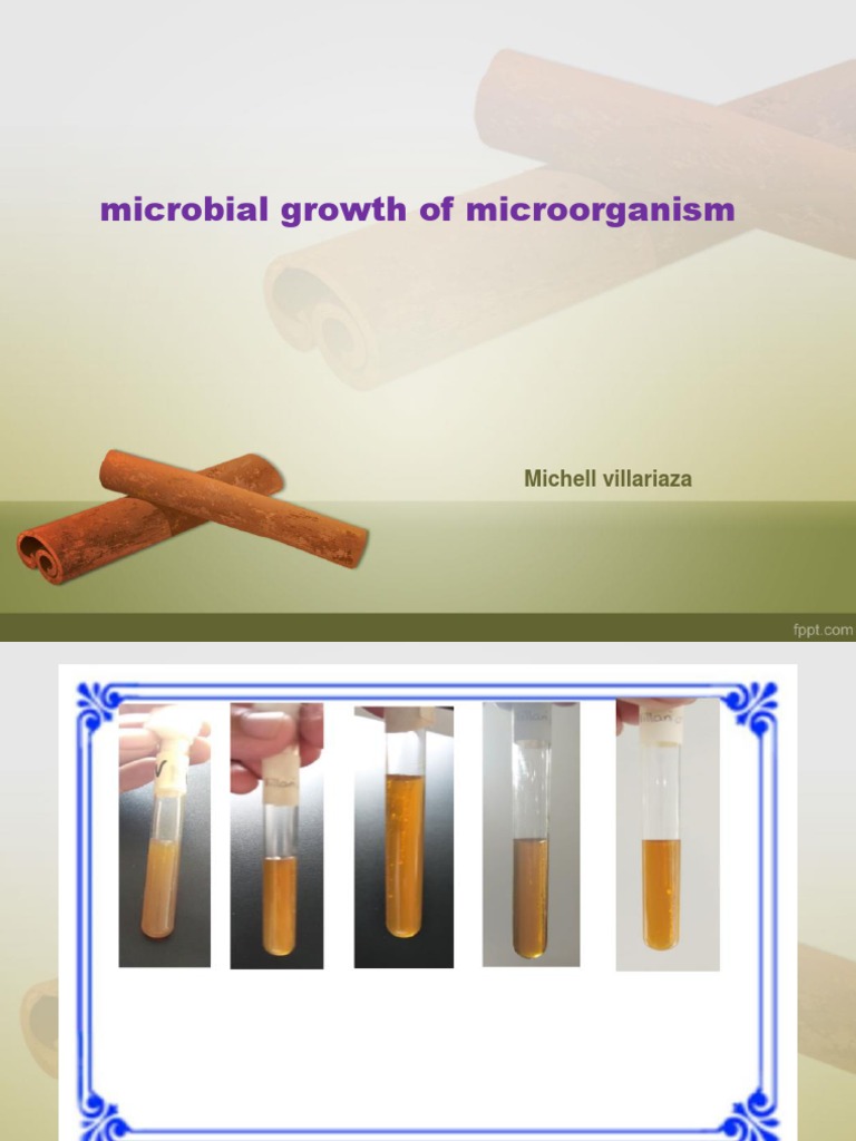 Microbial Growth of Microorganism: Michell Villariaza | PDF
