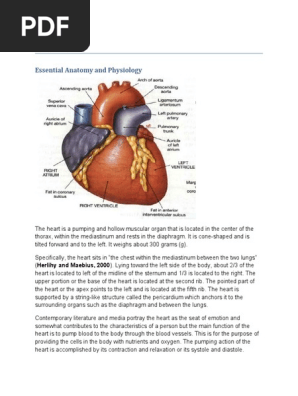 Heart in Progress
