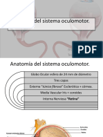 Anatomía Del Vestíbulo