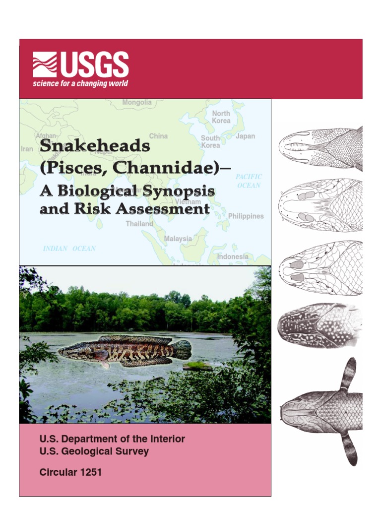 SNAKEHEADS (Pisces, Channidae) - A Biological Synopsis and Risk Assessment  PDF | PDF | Fish | Nature