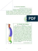 La Columna Vertebral.pdf