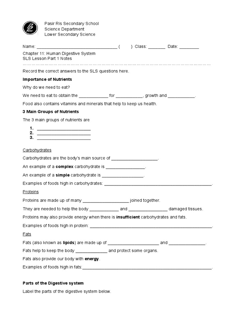 Human Digestive System Sls Worksheet Carbohydrates Digestion