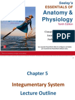 Integumentary Syst Lecture Outline2019