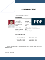 Curriculum Vitae 2