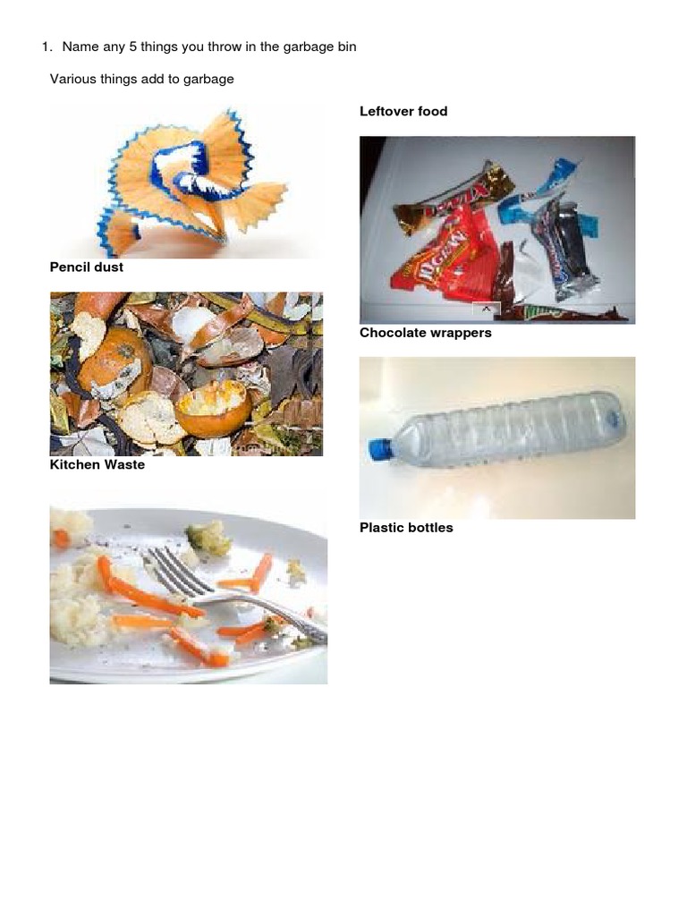 Leftover Food 1. Name Any 5 Things You Throw in The Garbage Bin