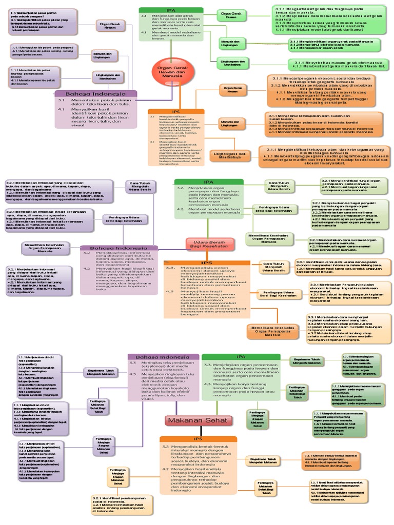 Spider Web | PDF