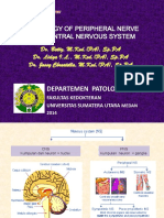 BMS1 - K11 - Pathology of Peripheral Nerve and Central Nervous System