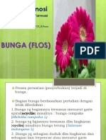 Bunga (Flos)