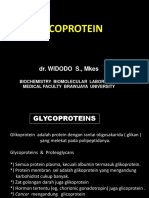 Glikoprotein Bs1 K-A&b