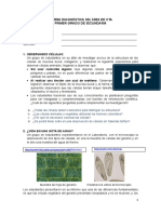 Evaluación diagnóstica CTA - 1°.doc