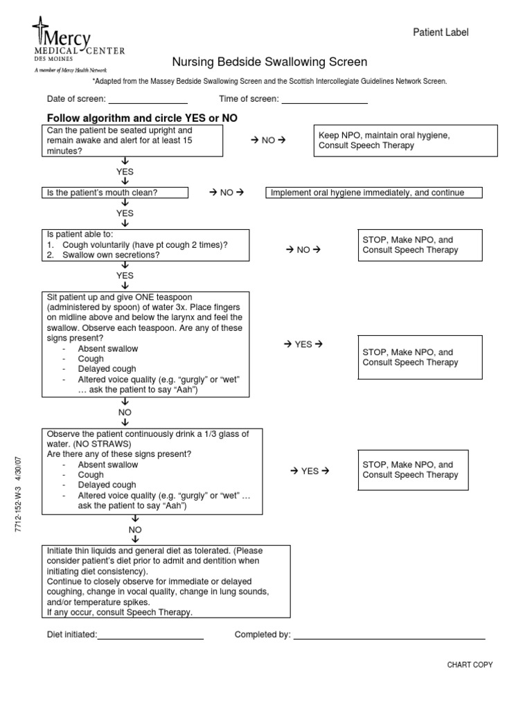 Assessing Swallowing Safety A Nursing Bedside Swallowing Screen PDF