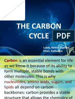 The Carbon Cycle: Lulab, Nakila Cepeda, Efren, Balbuena