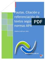 Instructivo-pautasnormasapa2012cvudes.pdf