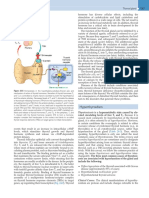 Trogens Propylthiouracil: Hyperthyroidism