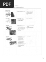 Estruturas Celulares - PDF